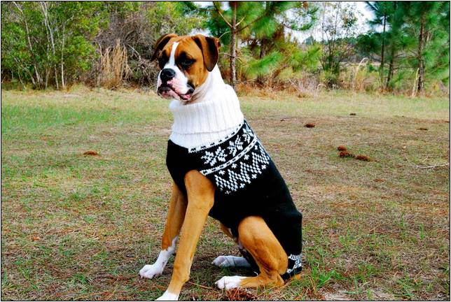 Crochet Patterns For Large Dog Sweaters
