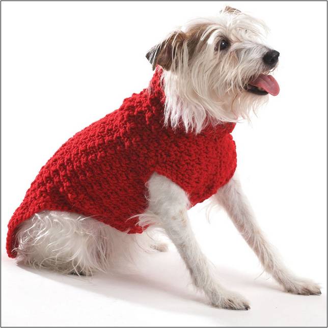 Free Crochet Patterns For Dog Sweaters